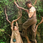 秘密花园 The Secret Garden