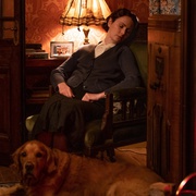 点击查看图片 万物生灵 第一季 All Creatures Great and Small Season 1
