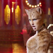 猫 Cats