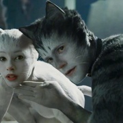 猫 Cats