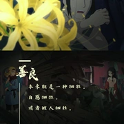 妙先生
