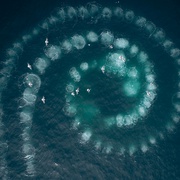 点击查看图片 七个世界,一个星球 Seven Worlds, One Planet