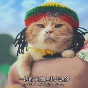 点击查看图片 X医生:外科医生大门未知子 第5季 ドクターX 外科医・大門未知子 第5季