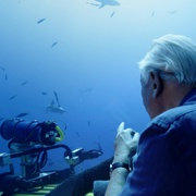 老爵爷的大堡礁之旅 Great Barrier Reef with David Attenborough
