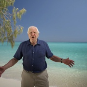 老爵爷的大堡礁之旅 Great Barrier Reef with David Attenborough