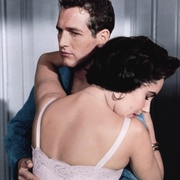 点击查看图片 朱门巧妇 Cat on a Hot Tin Roof