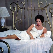 点击查看图片 朱门巧妇 Cat on a Hot Tin Roof