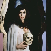 点击查看图片 木乃伊坟墓之血 Blood from the Mummy's Tomb