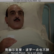 大侦探波洛 第八季 Agatha Christie's Poirot Season 8
