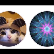 点击查看图片 别惹猫咪:追捕虐猫者 Don't F**k with Cats: Hunting an Internet Killer