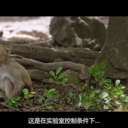 点击查看图片 探索未知的边界 The Most Unknown