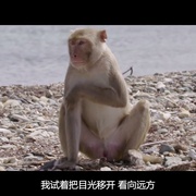 点击查看图片 探索未知的边界 The Most Unknown