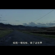 点击查看图片 寻爱之旅 Transylvania