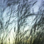 点击查看图片 种出个地球 How To Grow A Planet