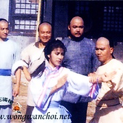 少林与咏春 少林與詠春