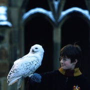 点击查看图片 哈利·波特与魔法石 Harry Potter and the Sorcerer's Stone