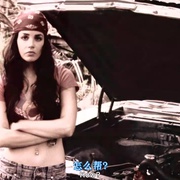 玩尽杀绝4：四人组 Wild Things: Foursome