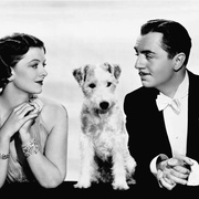 迷雾重重 After the Thin Man