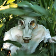 点击查看图片 转基因,我的上帝! GMO OMG
