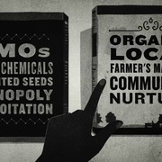 点击查看图片 转基因,我的上帝! GMO OMG