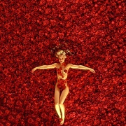 美国丽人 American Beauty