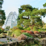 点击查看图片 植物王国 Kingdom of Plants 3D