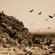 点击查看图片 垃圾场 Waste Land