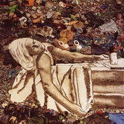 点击查看图片 垃圾场 Waste Land
