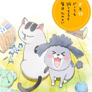 养狗与猫每天都很开心 犬と猫どっちも飼ってると毎日たのしい