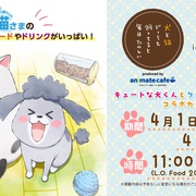 养狗与猫每天都很开心 犬と猫どっちも飼ってると毎日たのしい