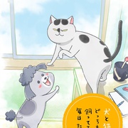 养狗与猫每天都很开心 犬と猫どっちも飼ってると毎日たのしい