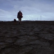点击查看图片 爱情是狗娘 Amores perros