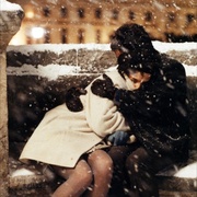 新桥恋人 Les amants du Pont-Neuf