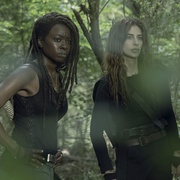 点击查看图片 行尸走肉 第十季 The Walking Dead Season 10