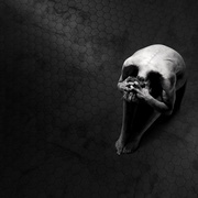 点击查看图片 低俗怪谈 第三季 Penny Dreadful Season 3