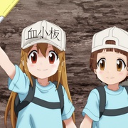 工作细胞 第二季 はたらく細胞!!