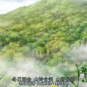 点击查看图片 虫师 续章 蟲師 続章