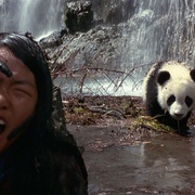 小猫熊历险记 The Amazing Panda Adventure