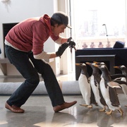 点击查看图片 波普先生的企鹅 Mr. Popper's Penguins