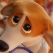 点击查看图片 女王的柯基 The Queen's Corgi