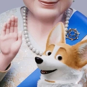 点击查看图片 女王的柯基 The Queen's Corgi