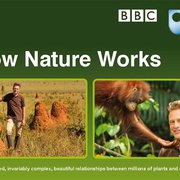 点击查看图片 自然的运作 How Nature Works
