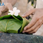 印度合伙人 Padman
