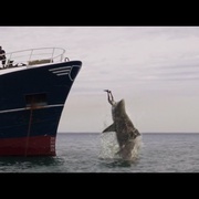 点击查看图片 深海狂鲨3 Deep Blue Sea 3