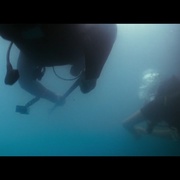点击查看图片 深海狂鲨3 Deep Blue Sea 3