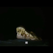 点击查看图片 绝命鳄口 Black Water: Abyss