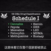点击查看图片 印度妙草 Grass is Greener