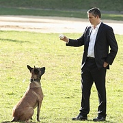 点击查看图片 疑犯追踪 第二季 Person of Interest Season 2