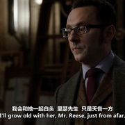 点击查看图片 疑犯追踪 第二季 Person of Interest Season 2