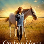 孤马 Orphan Horse